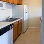 Apartment 204 kitchen with wood cabinets, sink, dishwasher, and refrigerator at Emerald Pointe Senior Living.